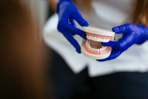 Emergency Dental Services in Conway, FL